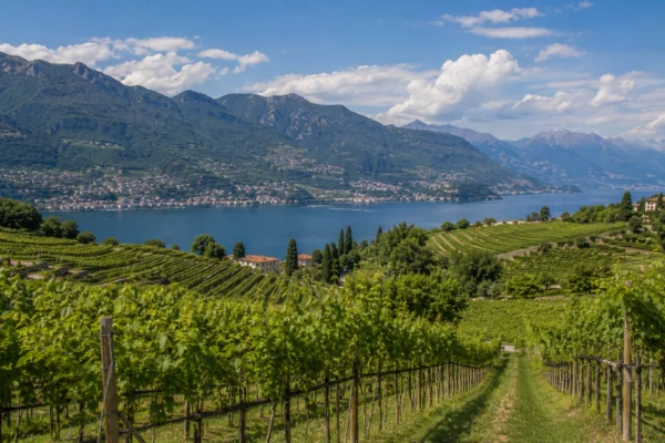Podgorii în Lombardia
