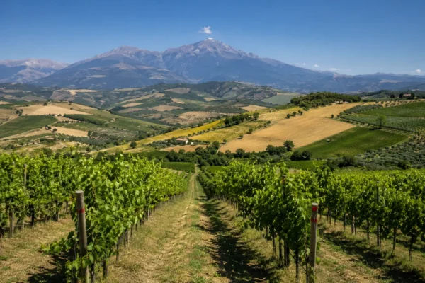 Podgorii în Abruzzo
